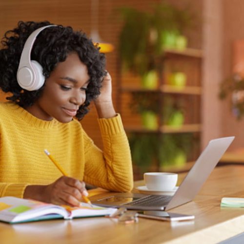 Online studying for a diploma in cats