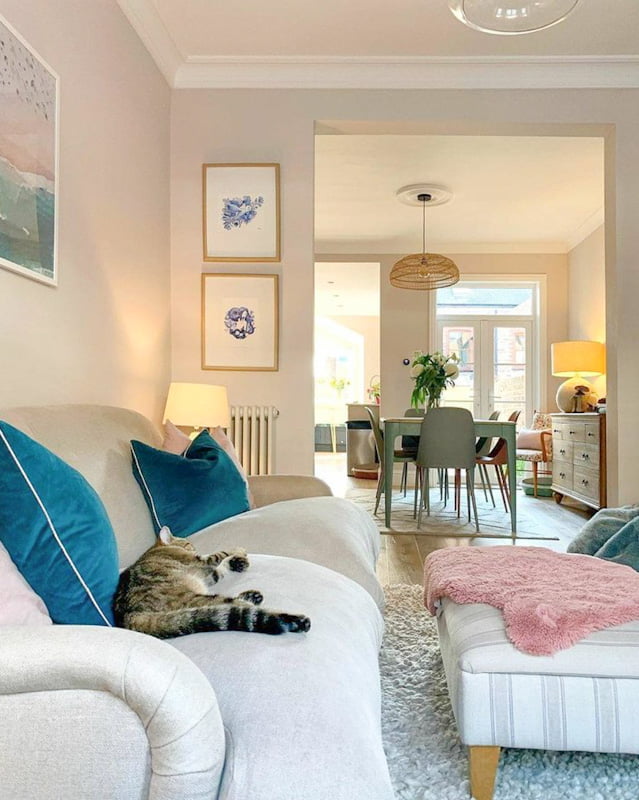 Picture of a domestic cat in an English home