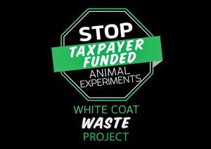 White Coat Waste Project's aim: Stop taxpayer funded animal testing in the USA