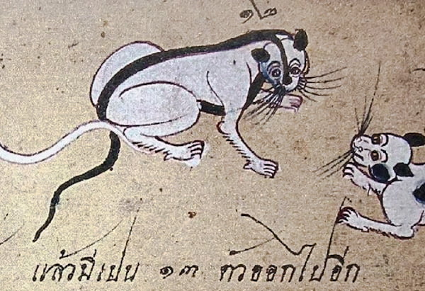 Strange bicolour pattern on ancient drawing of Thai cat