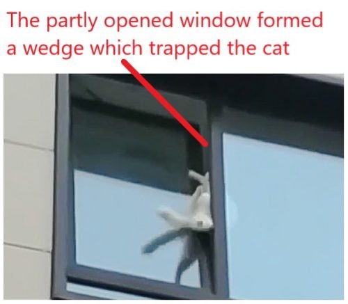 Cat in Russia wedged in partly opened apartment window that opens horizontally