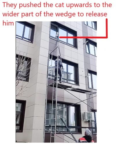 Cat in Russia wedged in partly opened apartment window that opens horizontally who was rescued by guys using scaffolding