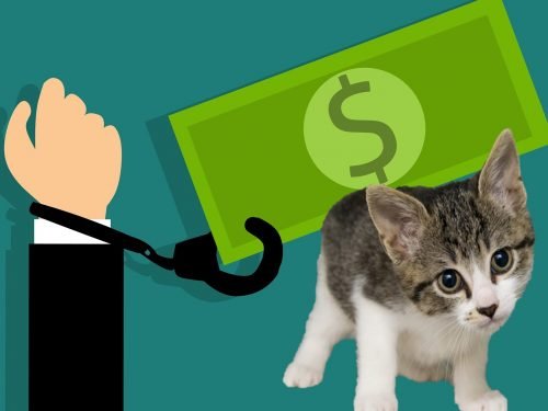 Debt can no longer be enforced by officials by using a companion animal as leverage in Russia