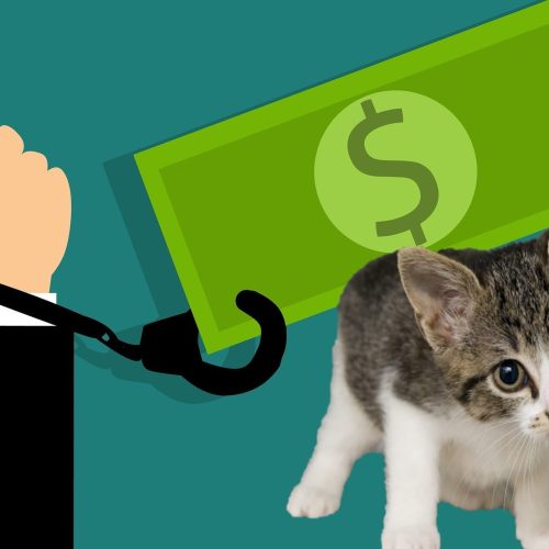 Debt can no longer be enforced by officials by using a companion animal as leverage in Russia