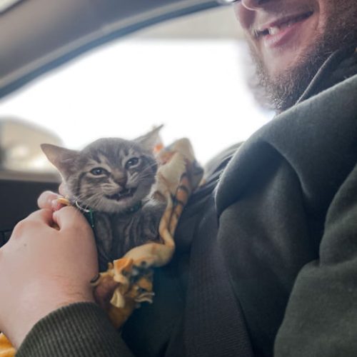 Guy has just picked up his rescue kitten called Frog and his girlfriend who took the photo can't tell who is happier