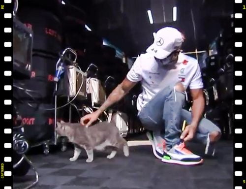 Lewis Hamilton takes time to pet and interact with the Imola cat Formulino