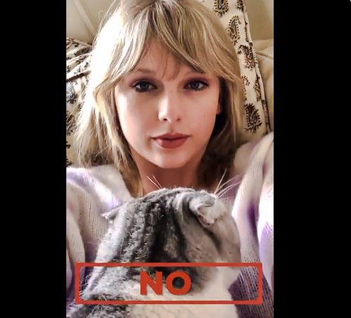 Taylor Swift with Meredith (back turned towards the camera!)