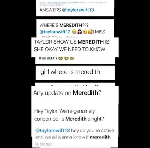 Fans ask what has happened to Taylor Swift's cat Meredith