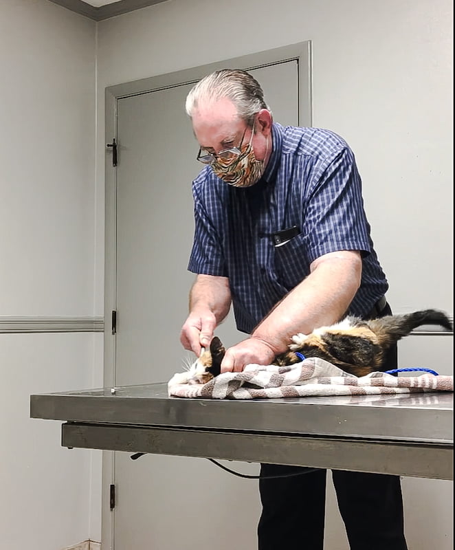 Alabama veterinarian , Dr Logan, abuses cat while being filmed
