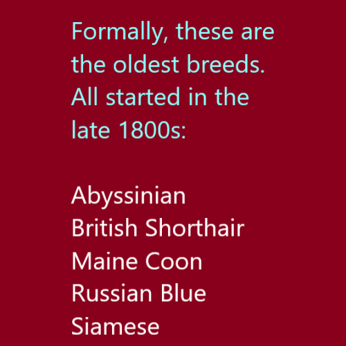 "World's oldest cat breed" is a tricky topic