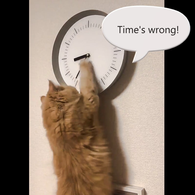 Cat likes to adjust time on clock but it is not deliberate!