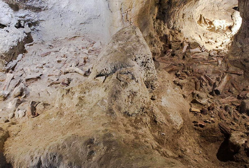 Cave in Italy containing the remains of nine Neanderthals eaten by hyenas