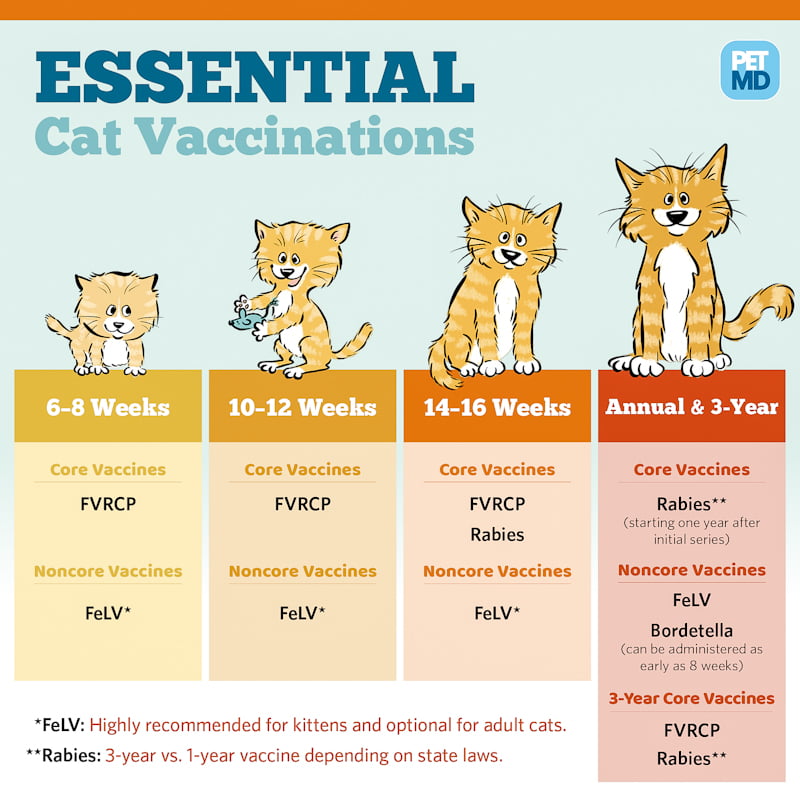 Combination vaccine for cats covering feline distemper