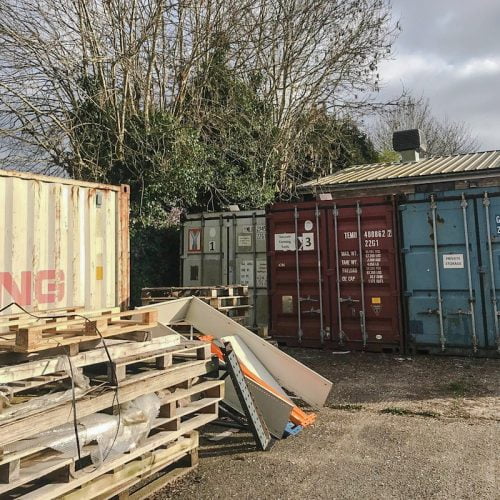 Stray cat makes a den for her kittens and herself in a bird's nest