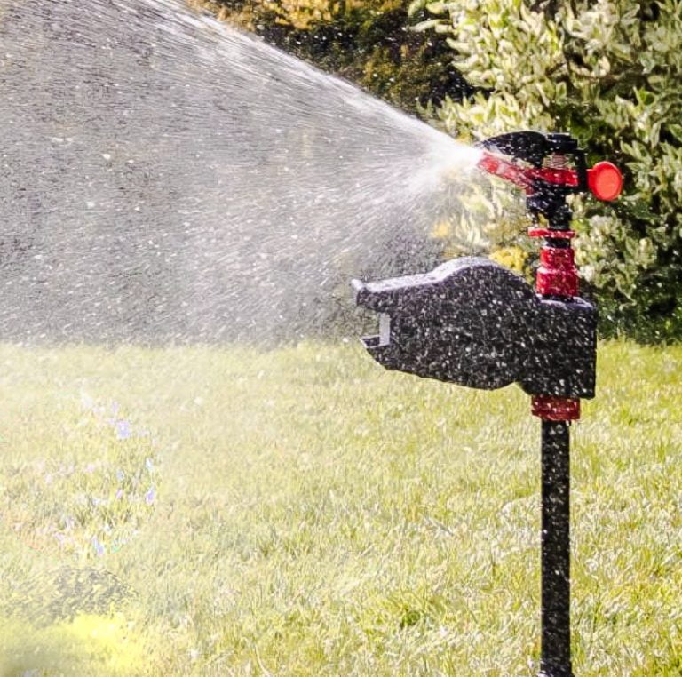2 devices I would try first to keep cats out of your backyard plus
