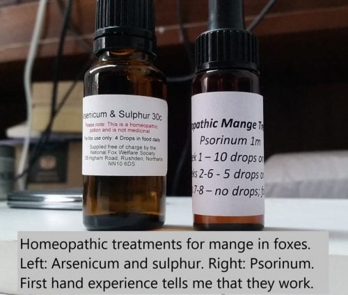 Homeopathic mange cure for foxes but will it work for cats?