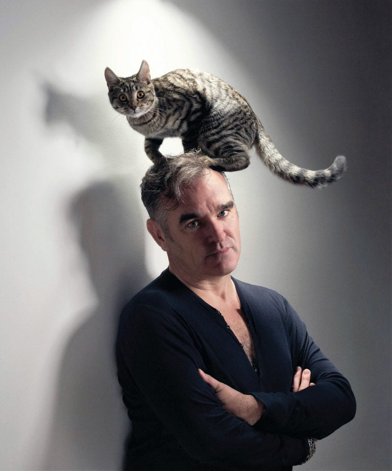Morrissey, a longtime friend of PETA poses with his cat on his head for an advert