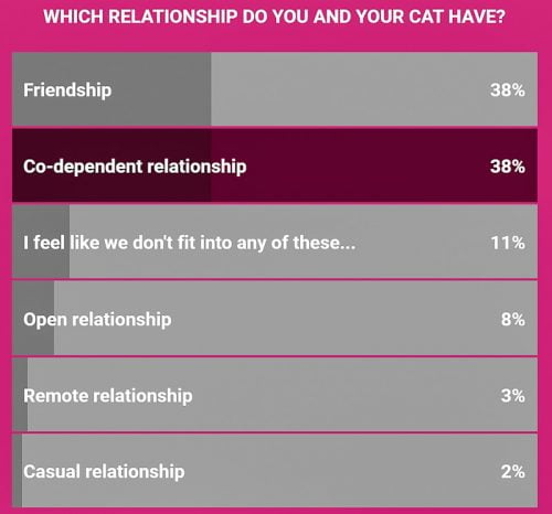 What sort of relationship do you have with your cat?