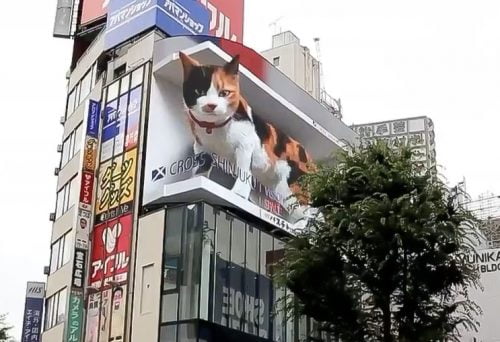Enormous tricolor cat moves around in three dimensions on Japanese billboard