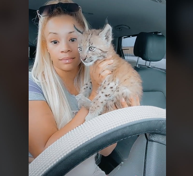 Felicia Wilson and her bobcat kitten - a part of her menagerie of animals