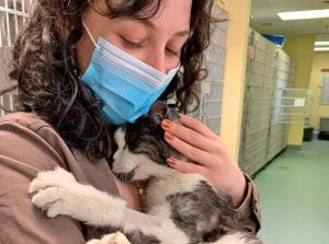This woman adopted this 20-year-old cat from a shelter because she didn't want him to spend the end of his life alone in a cage