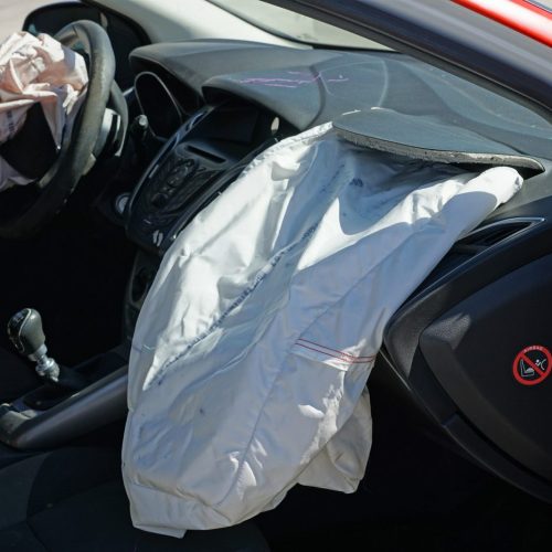 Airbags can kill cats and dogs