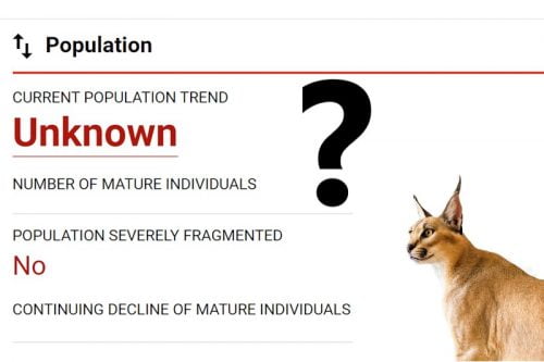 Caracal population is unknown