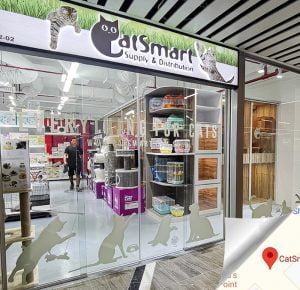 CatSmart store in Singapore