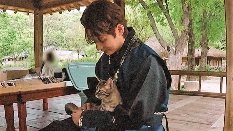 Kim Tae-hyung and stray or inside/outside cat