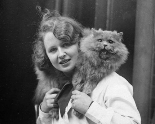 Patrick of Allington, a blue Persian wins first prize at a cat show at Holy Trinity Hall in central London in 1933