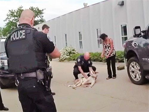 Police officer shot a dog twice just because the animal ran towards him
