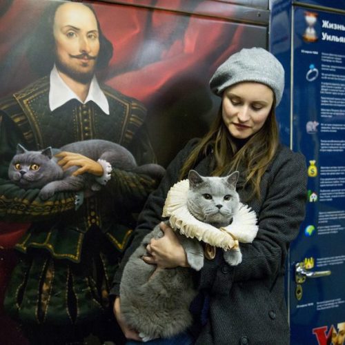 British Shorthair cat becomes first passenger of Moscow Metro's Shakespeare train