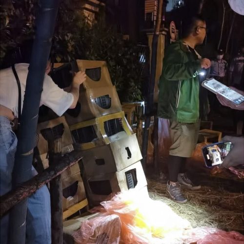 Bling box craze in China is cruel and callous and is rooted in a bad attitude towards animal welfare