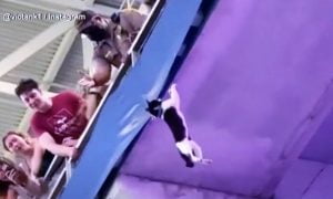 Cat falls in college stadium but survives as two students break her fall with the American flag