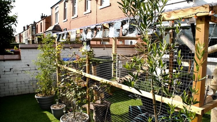 Catio built without planning permission has to be demolished