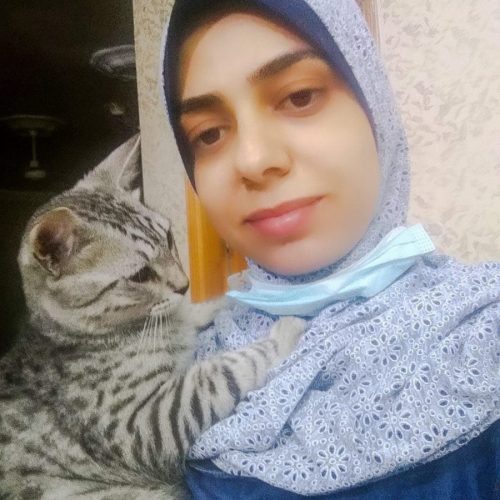 Gaza cat lady grieves over her missing silver tabby rescued cat