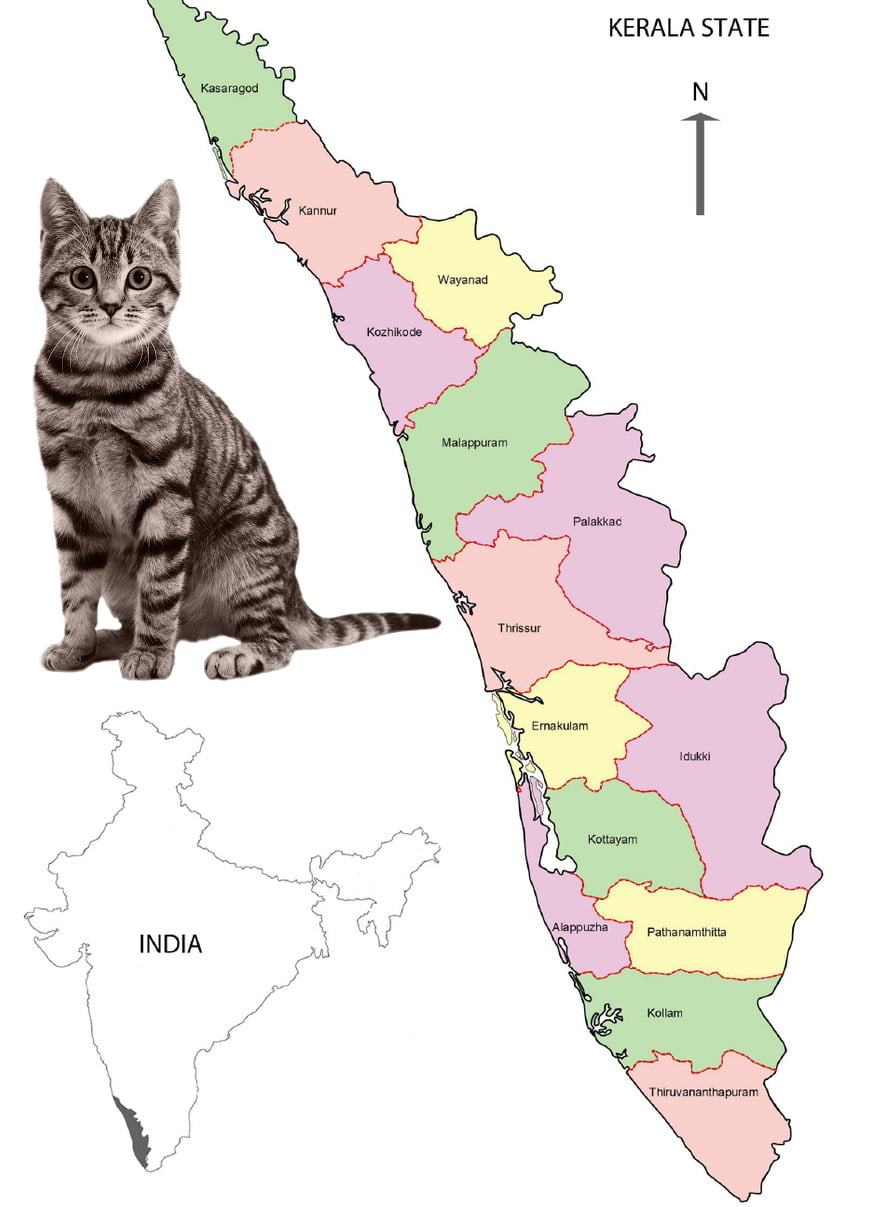 Kerala, India: High Court orders registration of companion animals – PoC