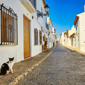 Cat in Spain. How was she treated?