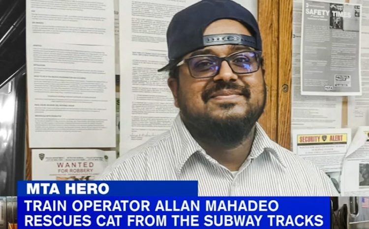 MTA hero, Allan Mahadeo, train driver, rescues black cat on lines