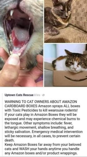 Untrue claim that Amazon boxes are sprayed with a pesticide which can harm domestic cats when they sit in them or chew them