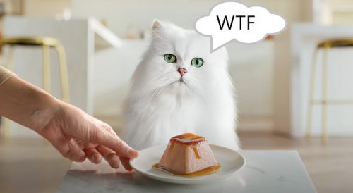 Cat food ad