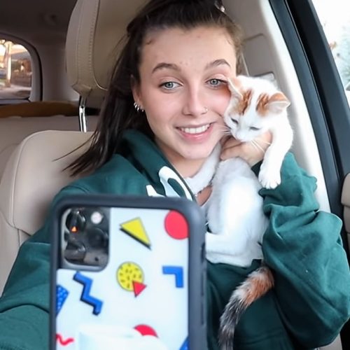 Emma Chamberlain and her new kitten Frankie just after adoption from a shelter. I like the screenshot as it has the flavour of a vlogger.