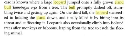 The record of the eland kill by a large leopard. The text is published on quora.com. The book Wild Cats of the Word has a similar text but not quite the same.