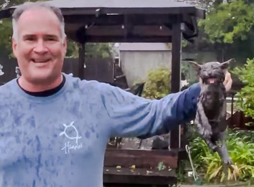 Skip Campbell rescues kitten from bloated stream turned into a river in Sacremento, California