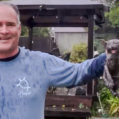 Skip Campbell rescues kitten from bloated stream turned into a river in Sacremento, California
