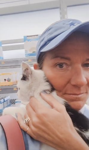 Woman takes immediate action to adopt a stray cat in Walmart