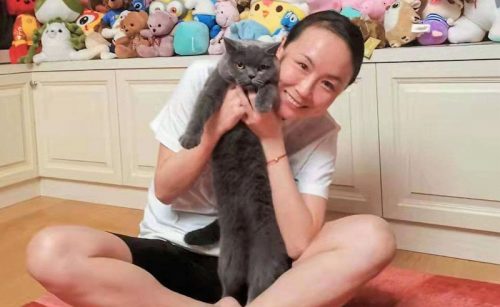 Peng Shuai with grey cat