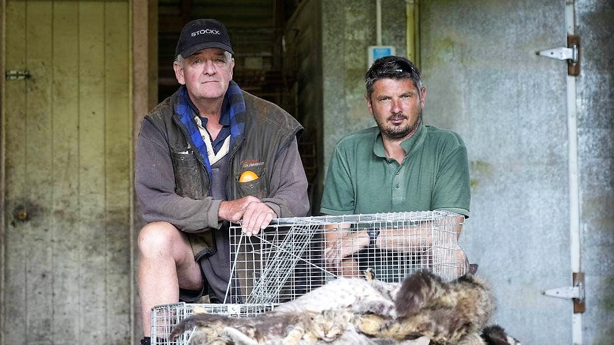 NZ farmer and his pest controller sit in front of a pile of domestic cats that they shot
