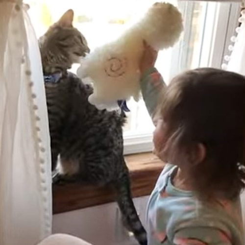 Ivy and Sergent Pepper. Both were born with cleft lips and palates.