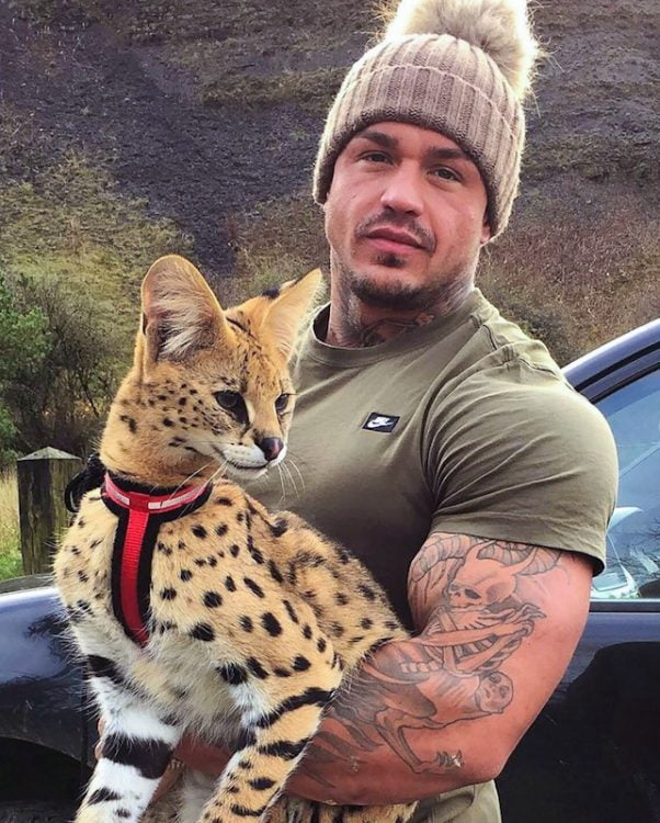 Macho men and exotic large pets